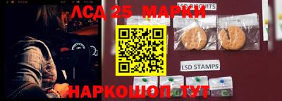прущий лед Будённовск