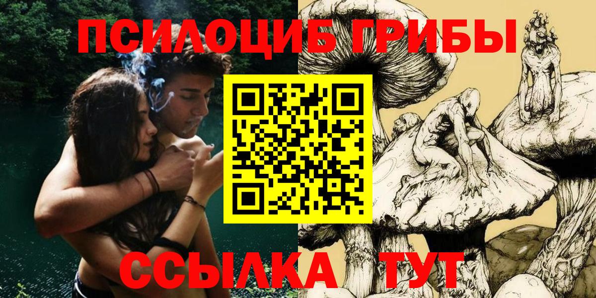 Псилоцибиновые грибы Cubensis  Вход с VPN  Солнечногорск 