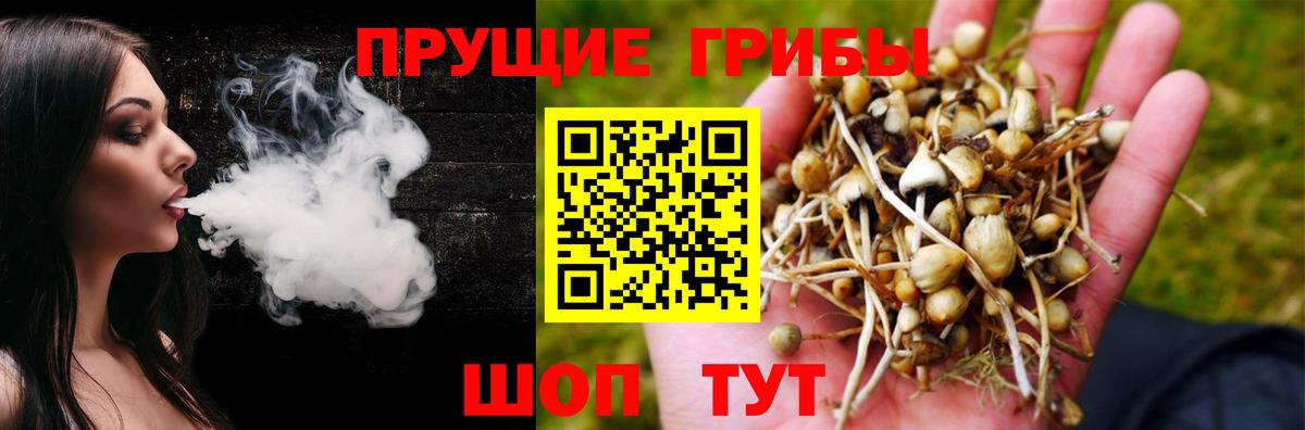 Галлюциногенные грибы мицелий Солнечногорск